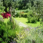 Bauernhof La Bianca Fattoria