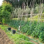Bauernhof La Bianca Fattoria Sarzana