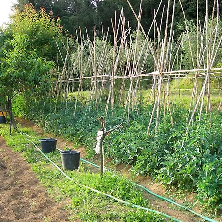 Çiftlik konaklama La Bianca Fattoria Sarzana